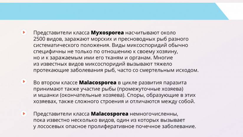 Владимир Воронин. Паразитарные болезни форели и сиговых. Миксоспоридии и миксоспоридиозы