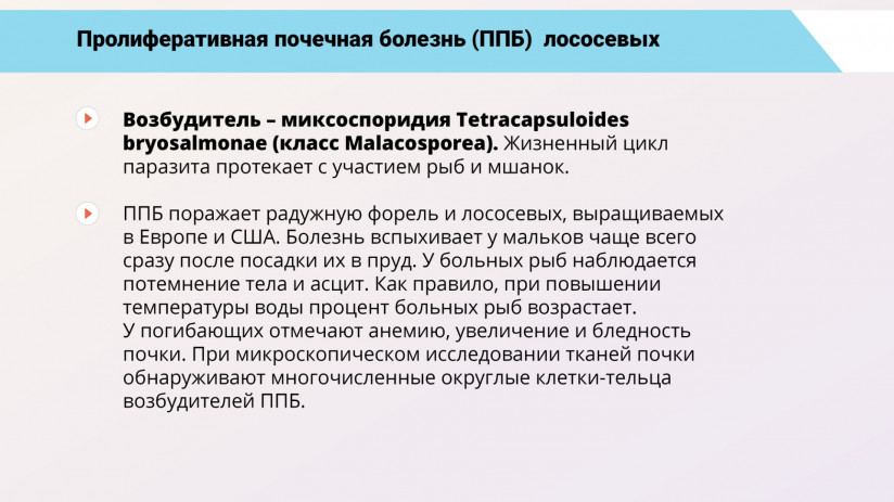 Владимир Воронин. Паразитарные болезни форели и сиговых. Миксоспоридии и миксоспоридиозы