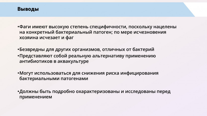 Бактериофаговая терапия рыб