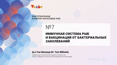 Иммунная система рыб и вакцинация от бактериальных заболеваний