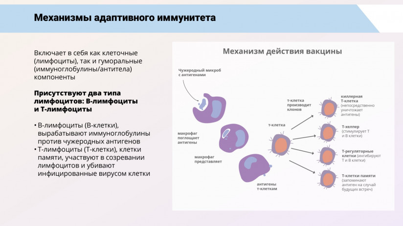 Иммунная система рыб и вакцинация от бактериальных заболеваний