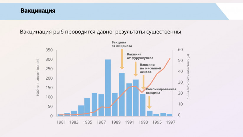 Иммунная система рыб и вакцинация от бактериальных заболеваний
