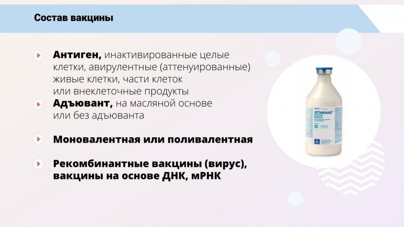 Иммунная система рыб и вакцинация от бактериальных заболеваний