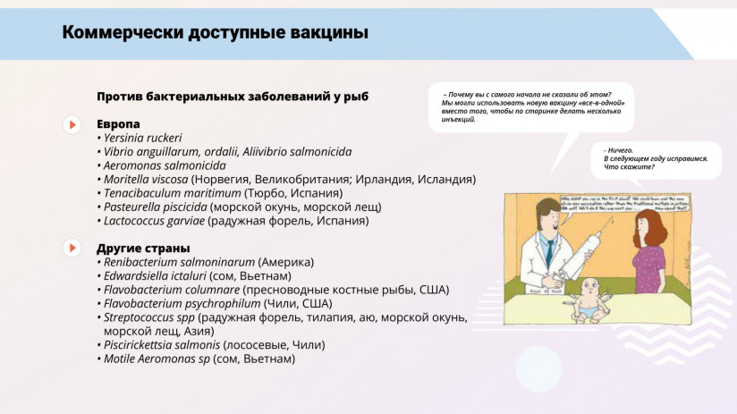 Иммунная система рыб и вакцинация от бактериальных заболеваний