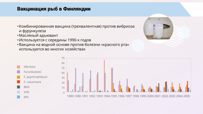 Иммунная система рыб и вакцинация от бактериальных заболеваний