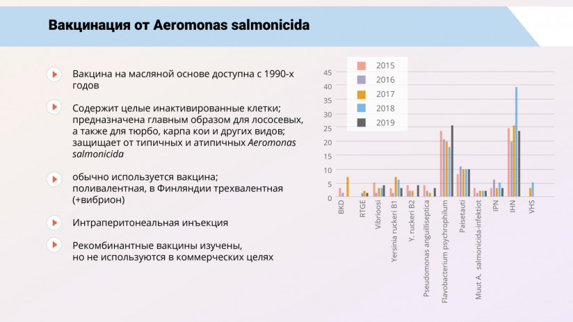 Иммунная система рыб и вакцинация от бактериальных заболеваний