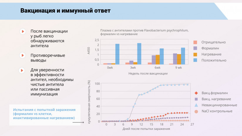 Иммунная система рыб и вакцинация от бактериальных заболеваний