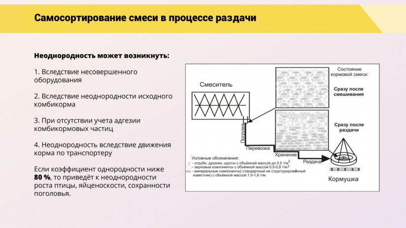 Леонид Подобед. Роль и значение оперативного контроля кормления для эффективного птицеводства