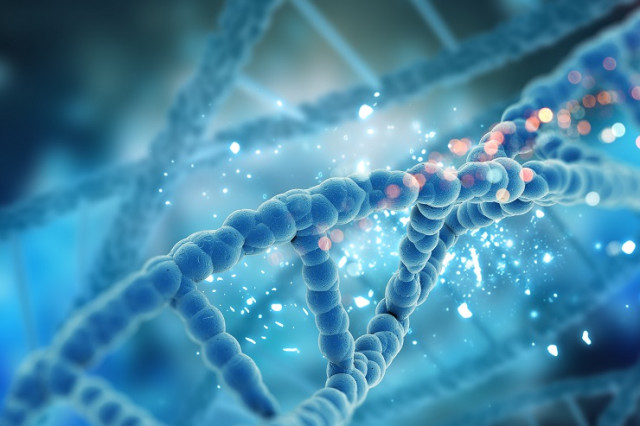 Александр Иевлев — о генетике свиней, методах селекции и передовых технологиях в 2025 году