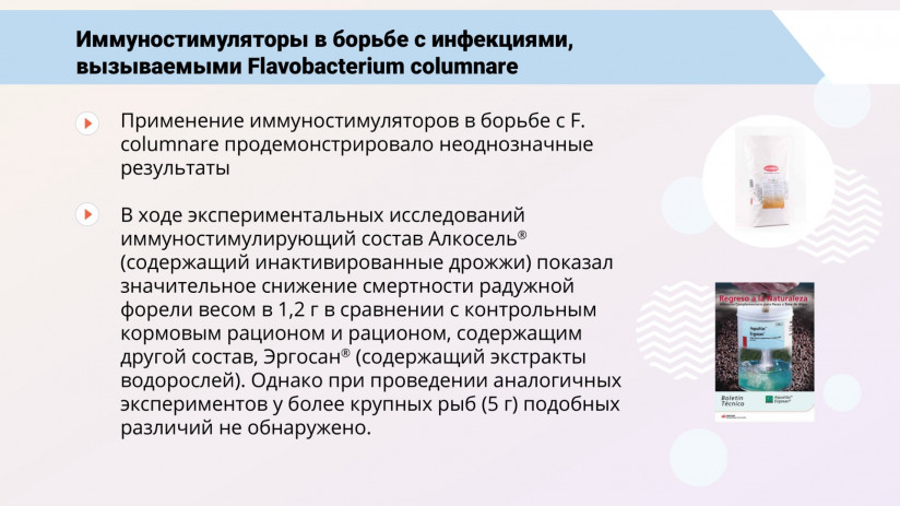 Том Виклунд. Иммуностимуляция и пробиотики