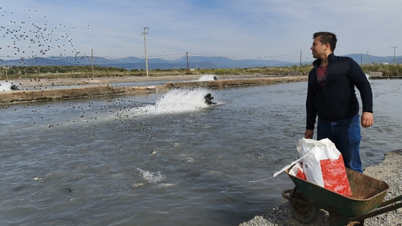 Дмитрий Зеков, специалист по аквакультуре: от чего зависит вкус рыбы