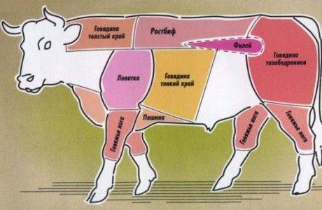 Почечная часть говядины где находится фото
